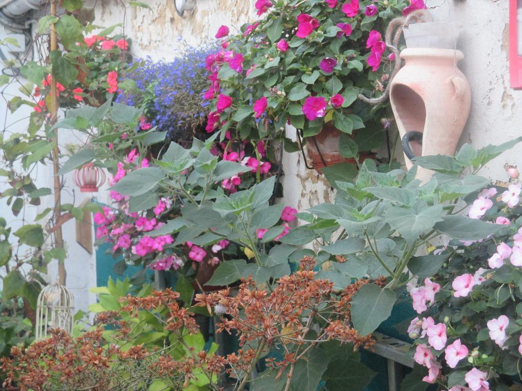 Le Parisien Hotel Saintes Luaran gambar